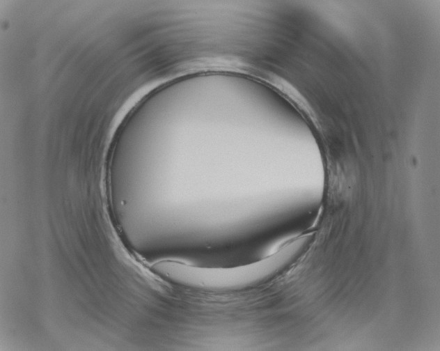 X0000069821339200606091411