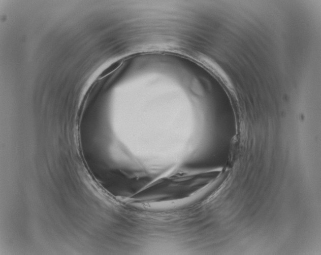X0000069821340200606091411