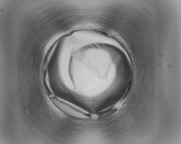 X0000069821344200606091411