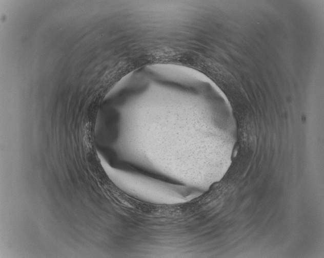 X0000069821346200606091411