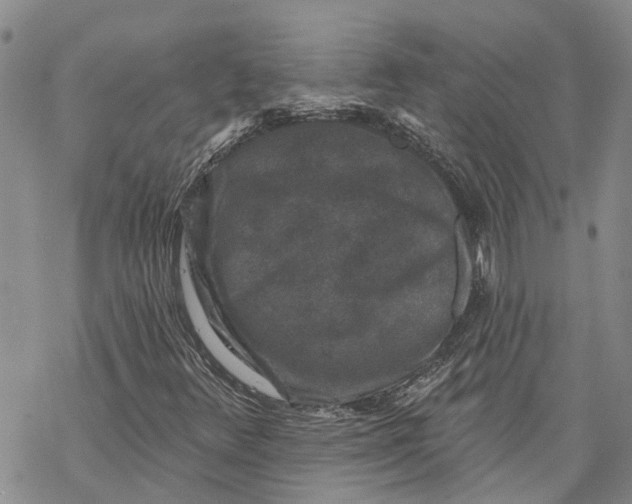 X0000069821348200606091411