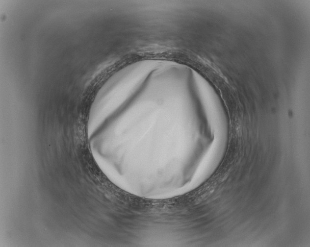 X0000069821350200606091410