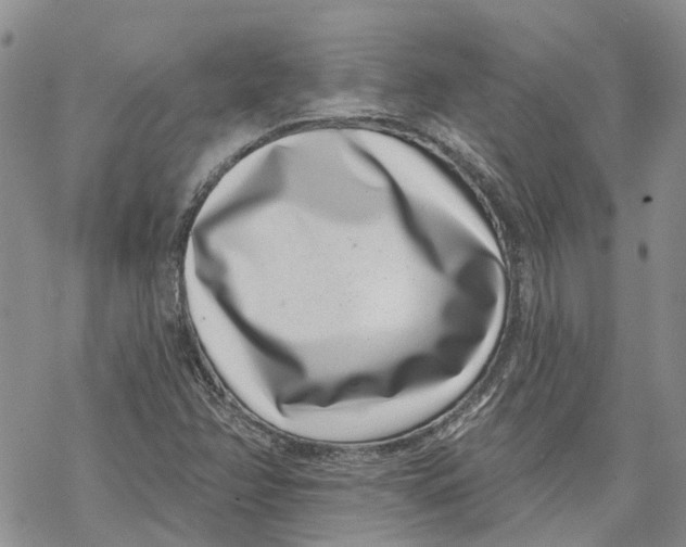 X0000069821358200606091410