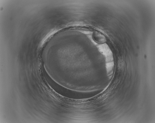 X0000069821359200606091410