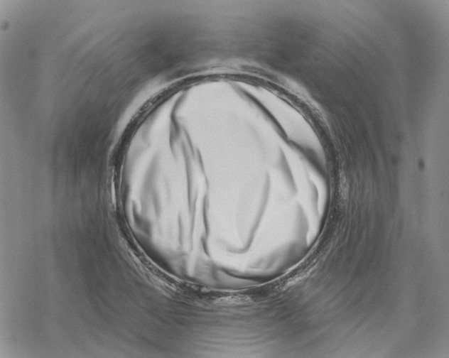 X0000069821368200606091410