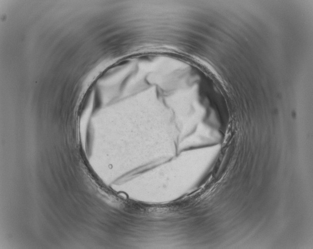 X0000069821371200606091410