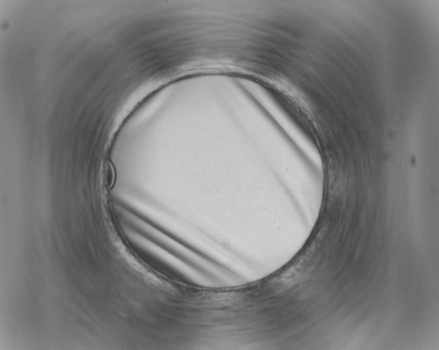 X0000069821382200606091410