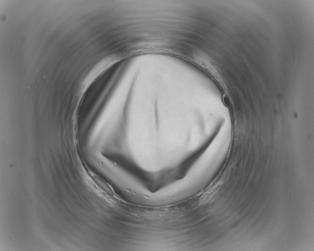 X0000069821386200606091410