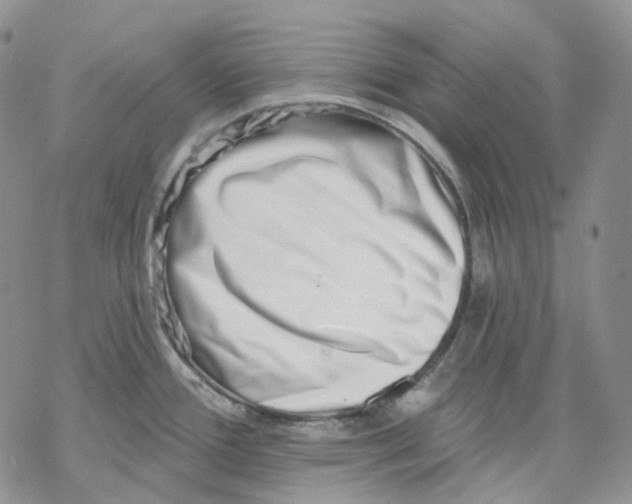 X0000069821388200606091410