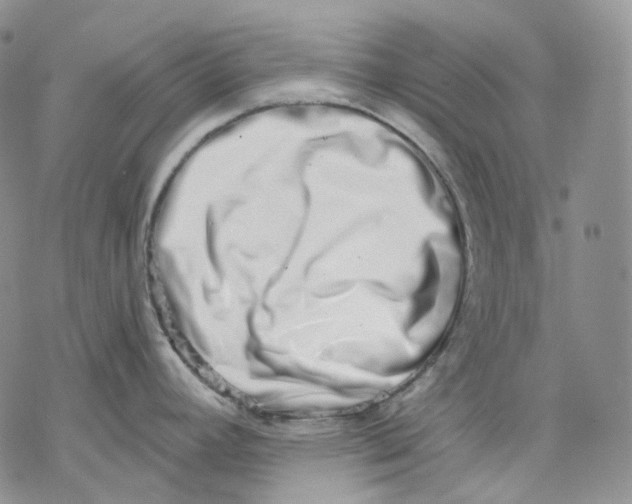 X0000069821392200606091410