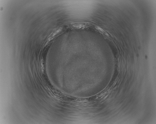 X0000069821394200606091409