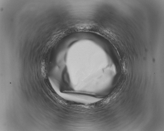 X0000069821396200606091409