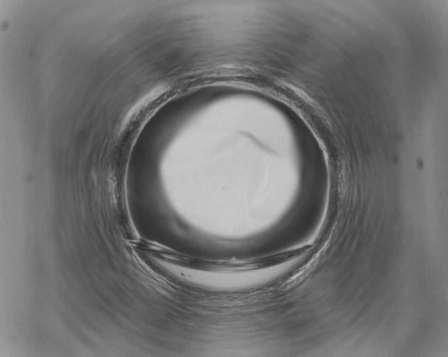 X0000069821402200606091409