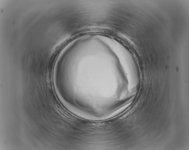 X0000069821403200606091409