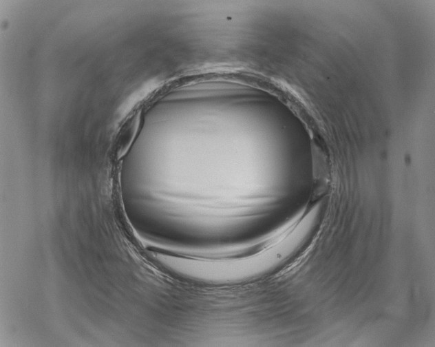 X0000069821406200606091409