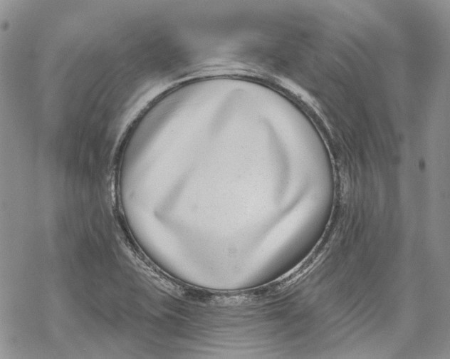 X0000069821415200606091409