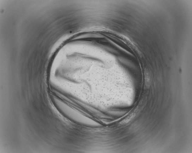 X0000069821422200606091409