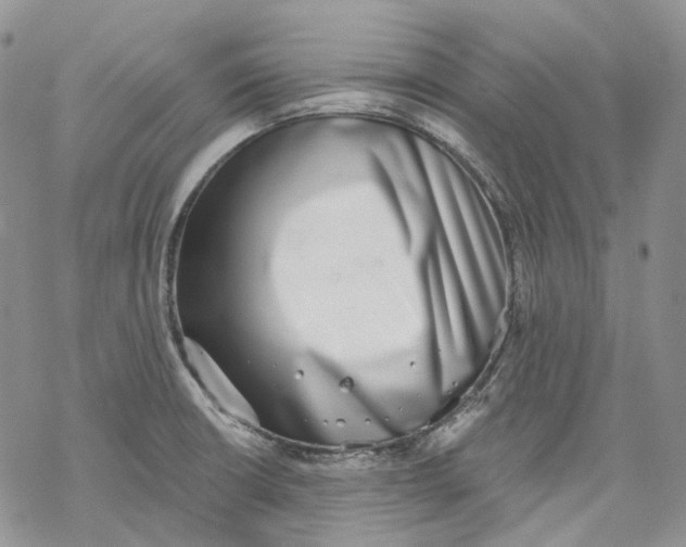 X0000069821426200606091410