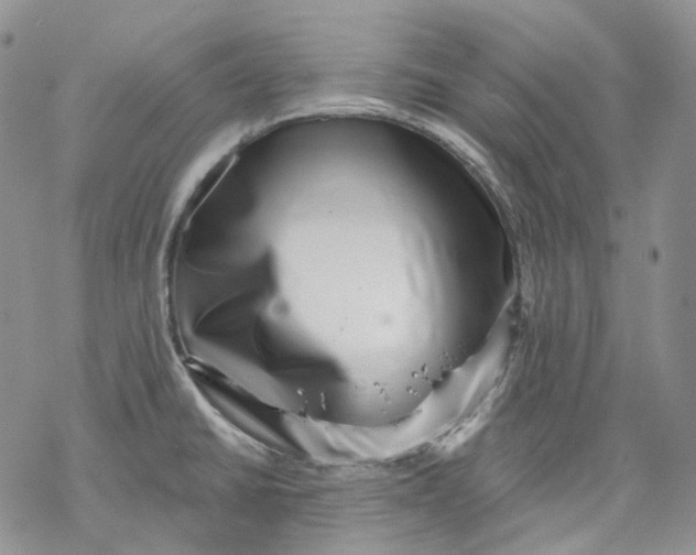 X0000069821430200606091410