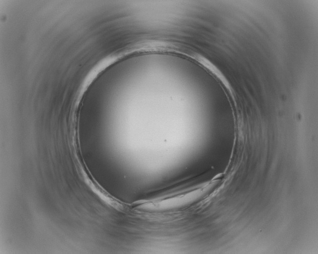 X0000069821437200606091410