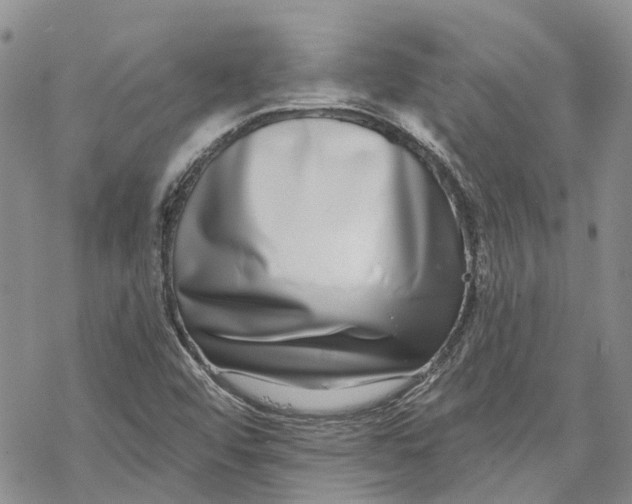 X0000069821456200606091409