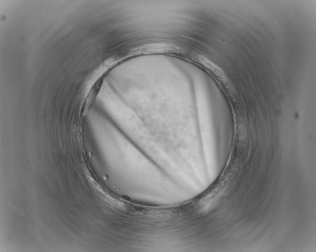 X0000069821473200606091408