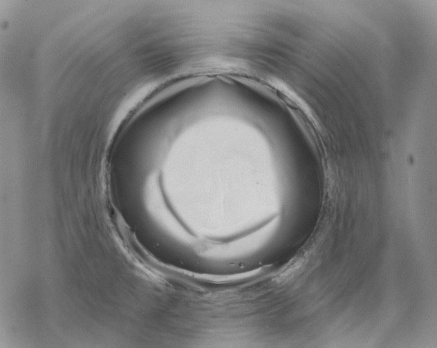 X0000069821477200606091408