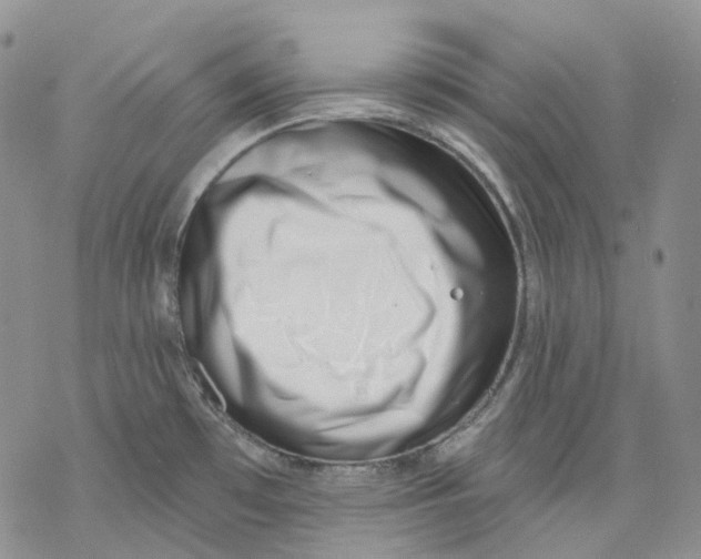 X0000069821481200606091408