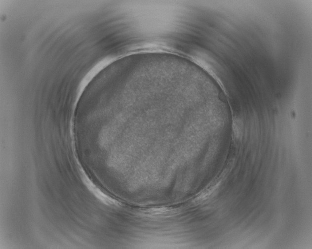 X0000069821482200606091408