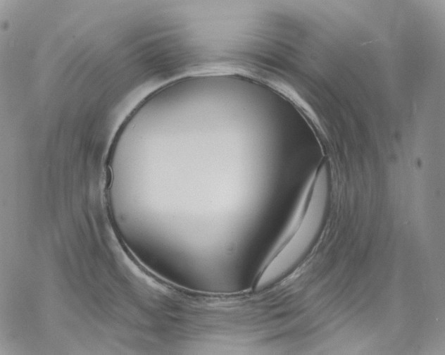 X0000069821484200606091408