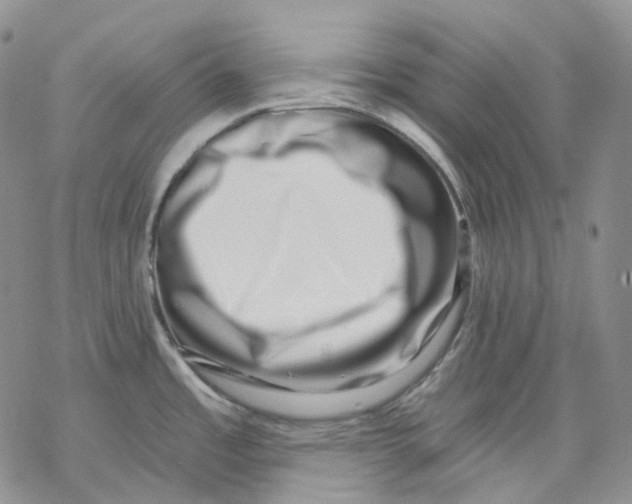 X0000069821485200606091408