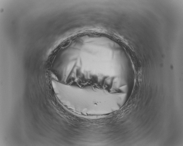 X0000069821496200606091408