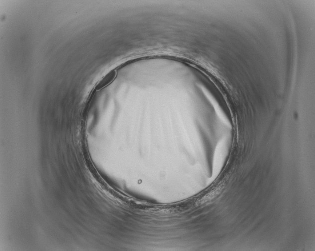 X0000069821500200606091408