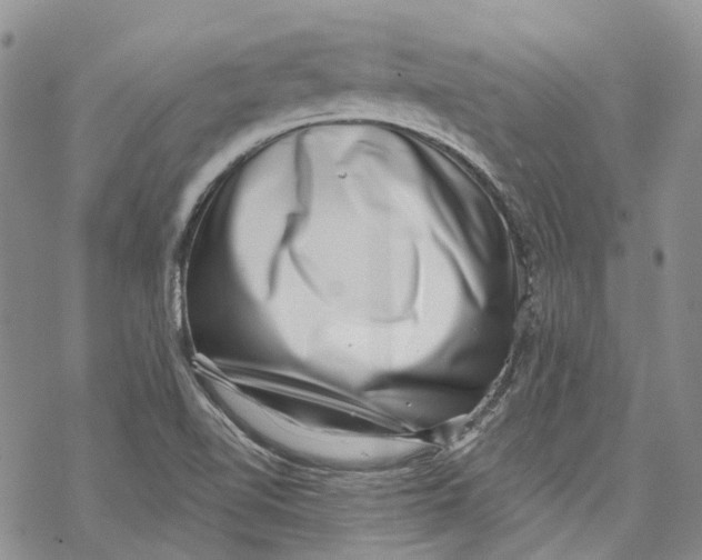X0000069821510200606091408
