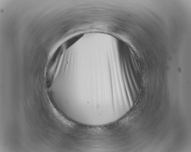 X0000069821524200606091408
