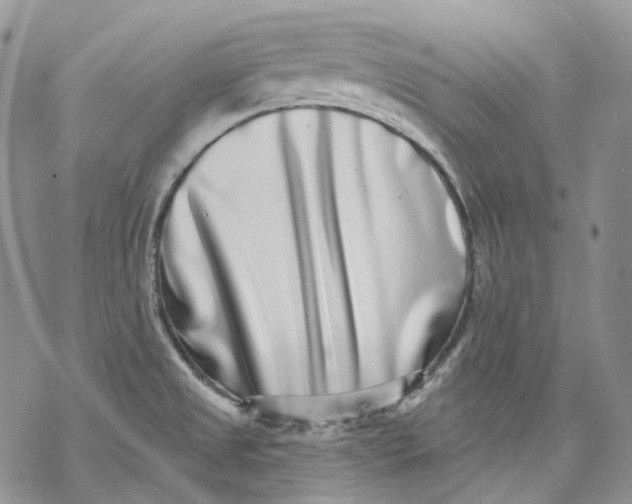 X0000069821525200606091408