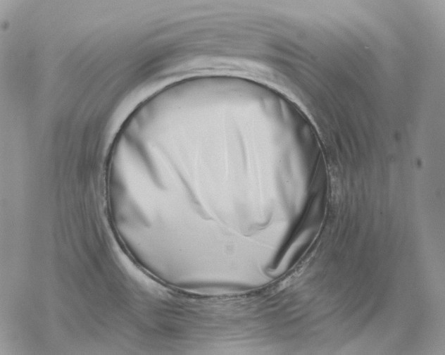 X0000069821531200606091408