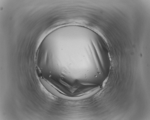 X0000069821532200606091408