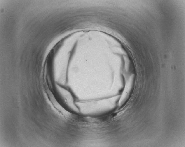 X0000069821536200606091408