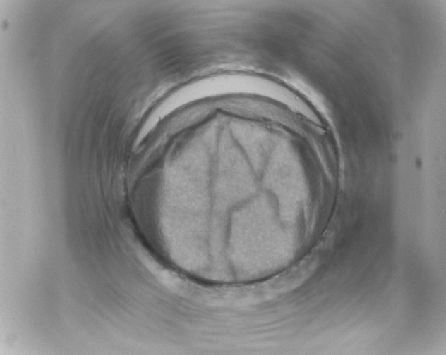 X0000069820009200606161926