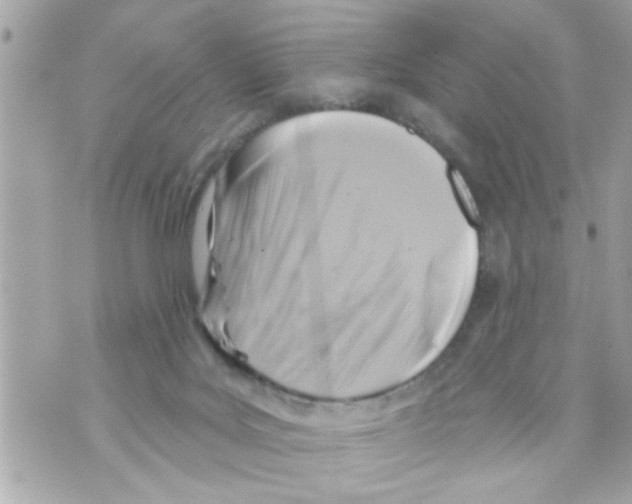X0000069820027200606161926