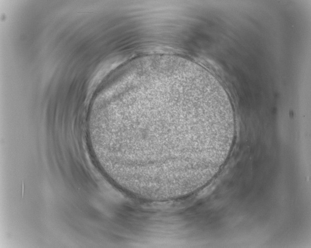 X0000069820049200606161925