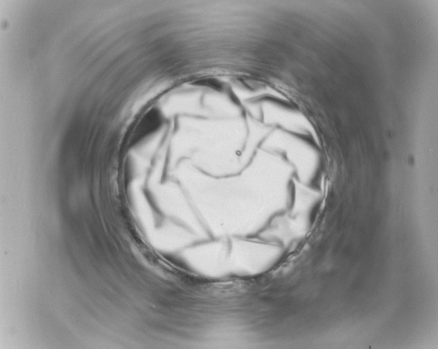 X0000069820050200606161925