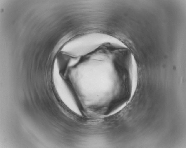 X0000069820051200606161925