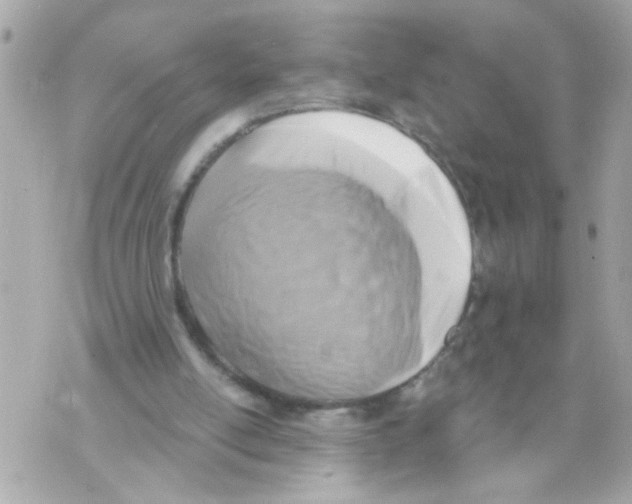 X0000069820054200606161925