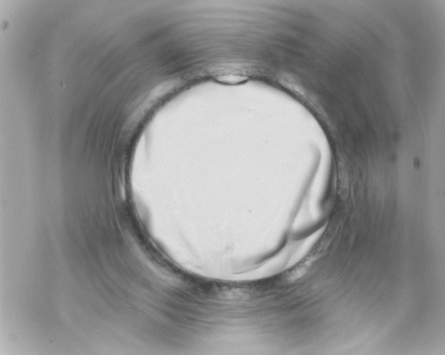 X0000069820062200606161925