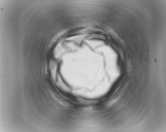 X0000069820068200606161925