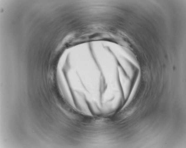 X0000069820072200606161925