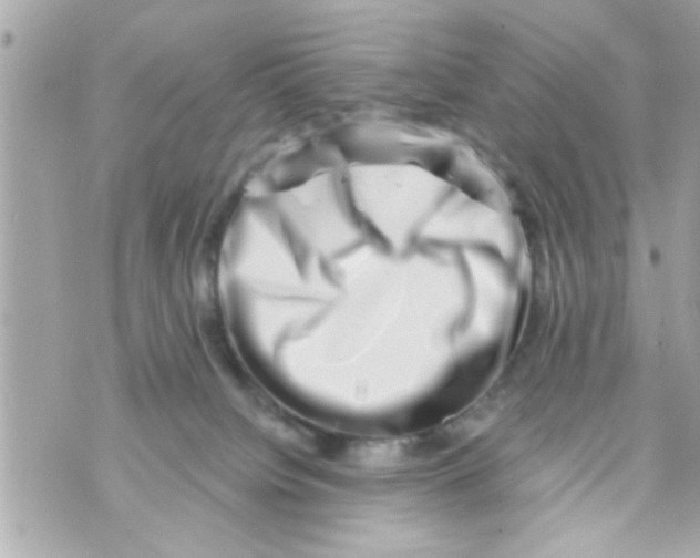 X0000069820084200606161926