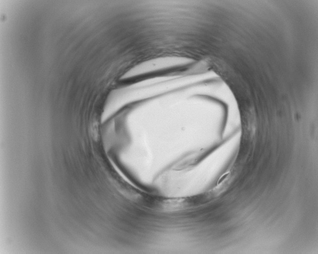 X0000069820090200606161926